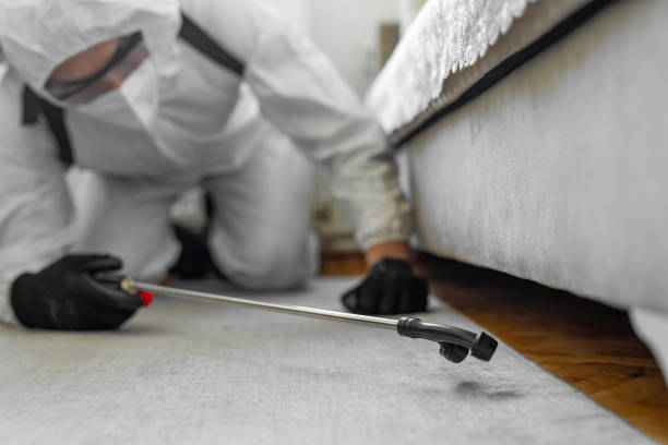 Professional Bed Bug Control technician working in Barrington, IL
