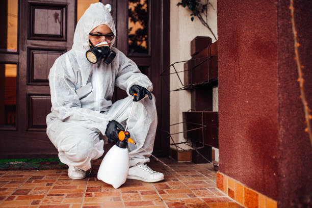 Reliable Bed Bug Control contractor in Barrington, IL by Nex Pest Control