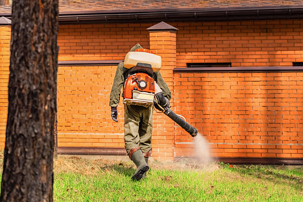 Trusted Emergency Pest Control service in Barrington, IL - Nex Pest Control